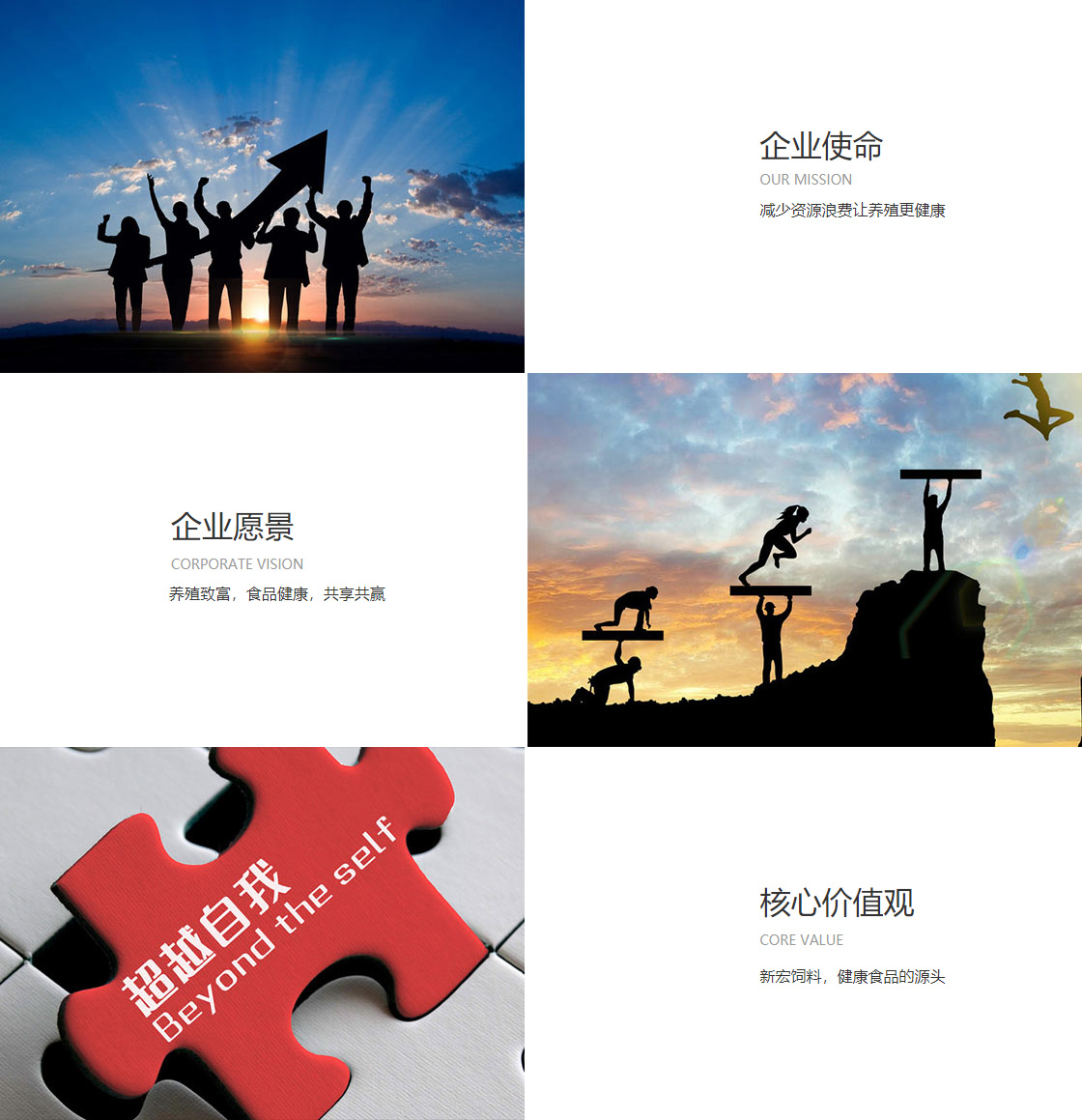 金年会金字招牌诚信至上(图1)